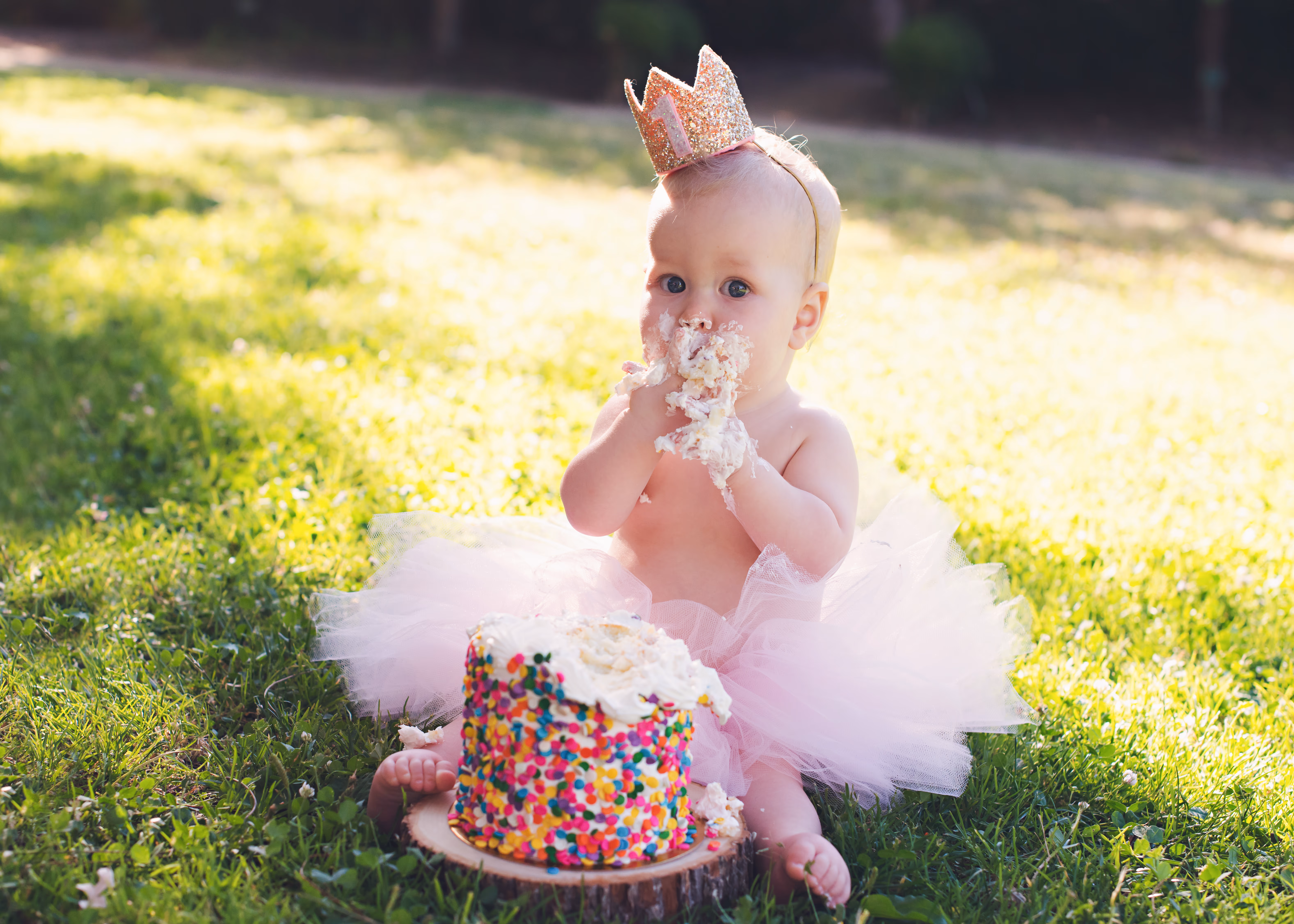Milestone portrait session for baby by Alicia Cervenka Photography in the Bay Area