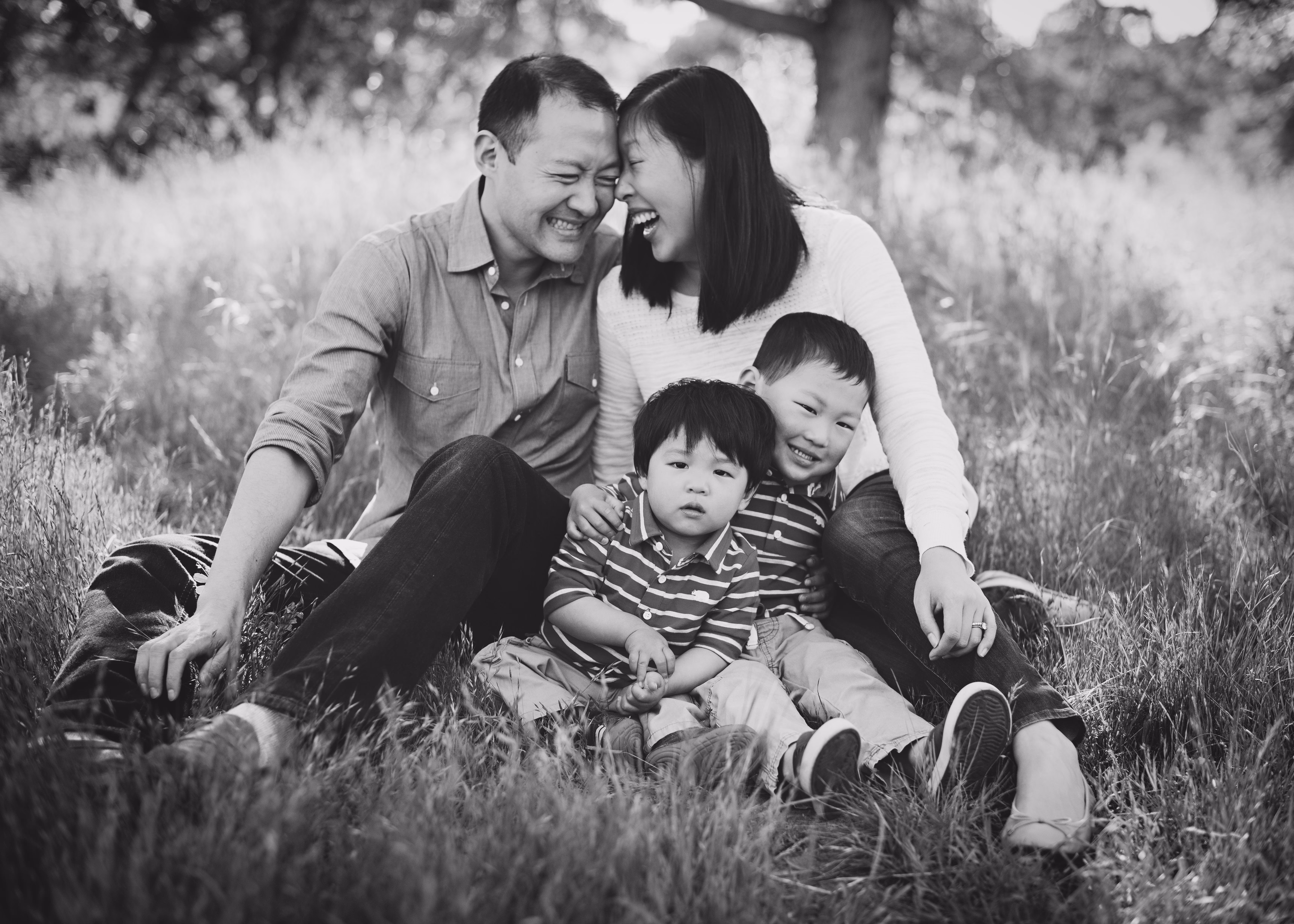 Family of four laughing together in a sunlit field during a portrait session by Alicia Cervenka Photography
